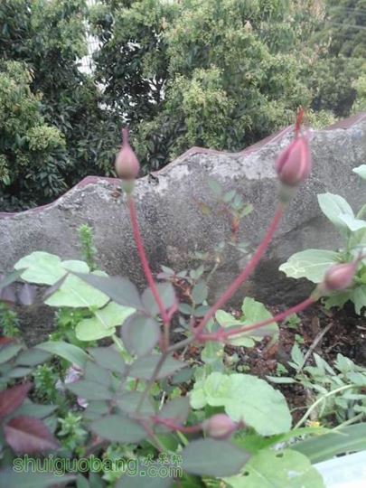 20140407_164743.jpg