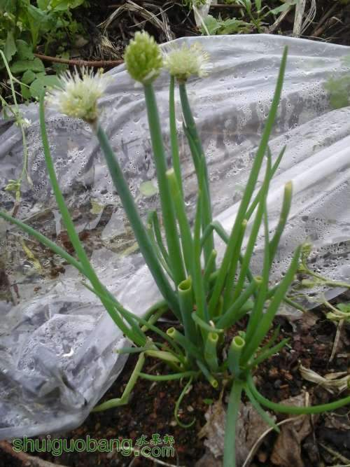 20140407_165334.jpg