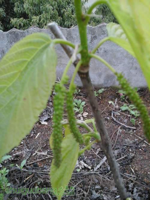 20140305_165256.jpg