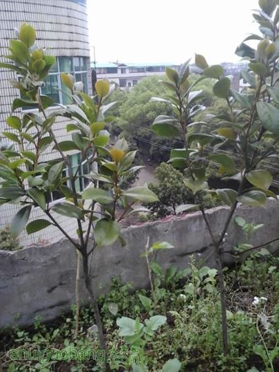 20140407_165416.jpg