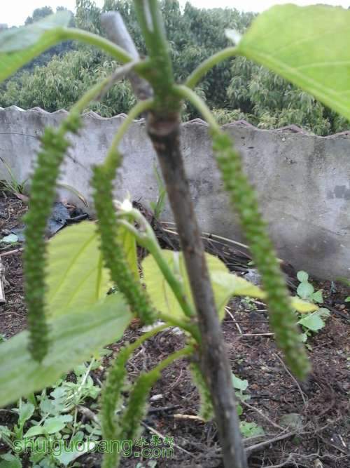20140316_125834.jpg