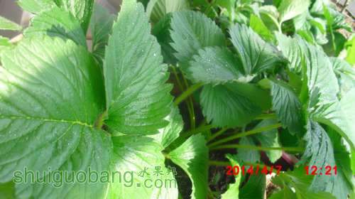 nEO_IMG_CIMG1276.jpg