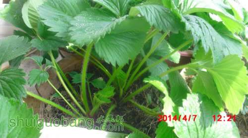 nEO_IMG_CIMG1277.jpg