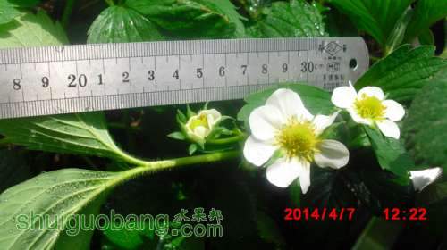 nEO_IMG_CIMG1280.jpg