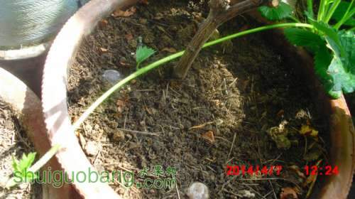 nEO_IMG_CIMG1285.jpg