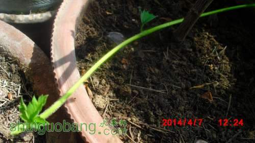nEO_IMG_CIMG1287.jpg