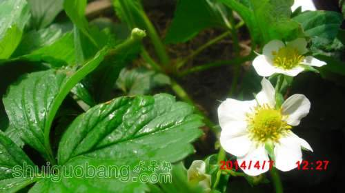 nEO_IMG_CIMG1292.jpg