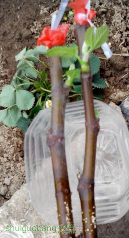 QQͼƬ20140328192312.jpg