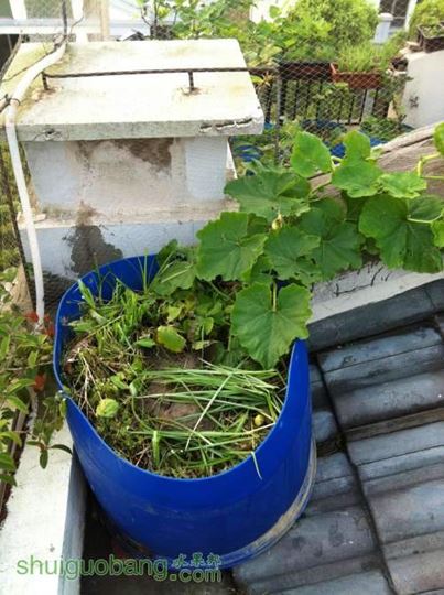 2014-04-05 064255.jpg