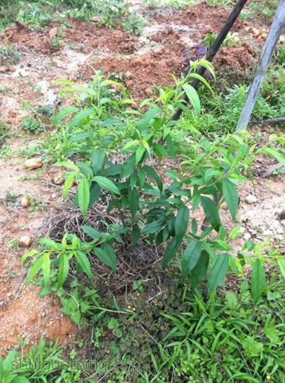 2014-04-07 115624.jpg