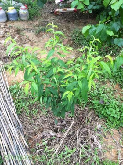 2014-04-07 115628.jpg