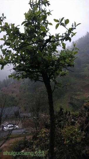 QQͼƬ20140408082800.jpg