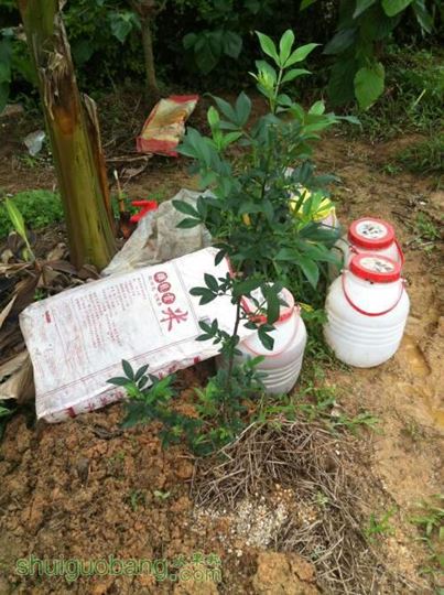 2014-04-07 115858.jpg