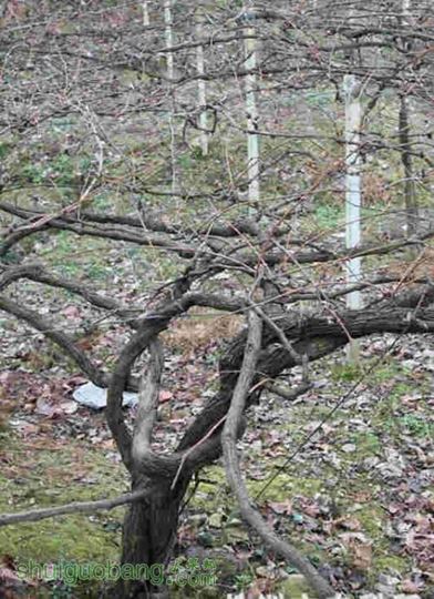 20101224104956972_.jpg