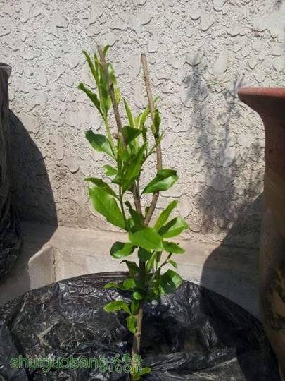 20140407_120829.jpg