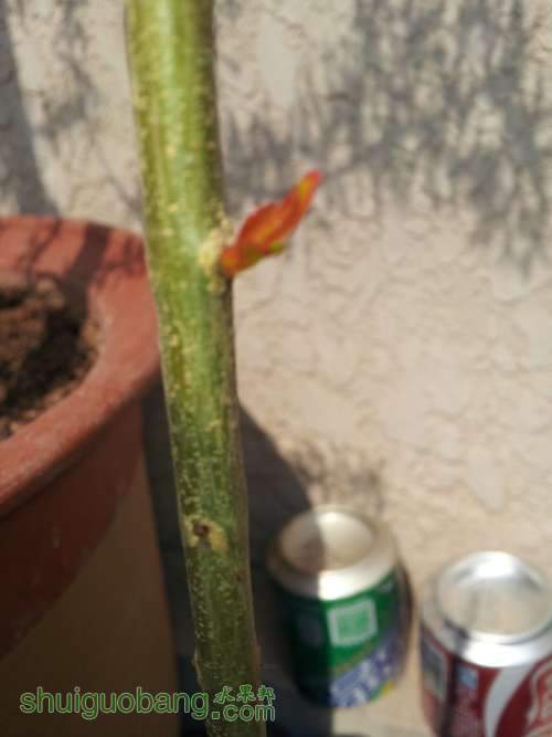 20140407_122004.jpg
