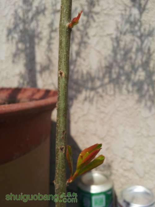 20140407_122016.jpg
