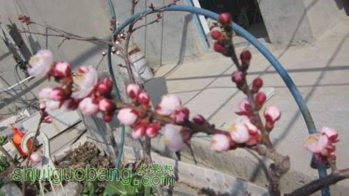 IMG_0438.JPG