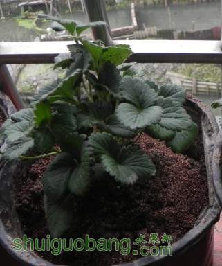 QQͼƬ20140409044703.jpg