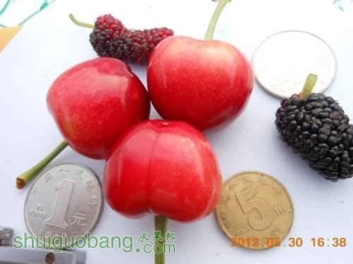 QQͼƬ20140409080718.jpg