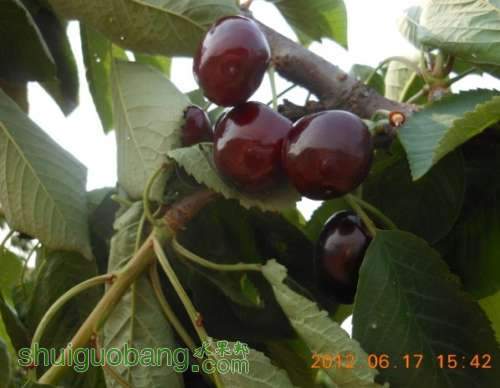 QQͼƬ20140409083236.jpg