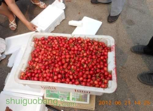QQͼƬ20140409083349.jpg