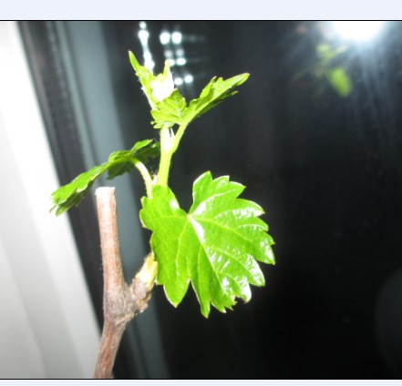 QQͼƬ20140409204732.jpg