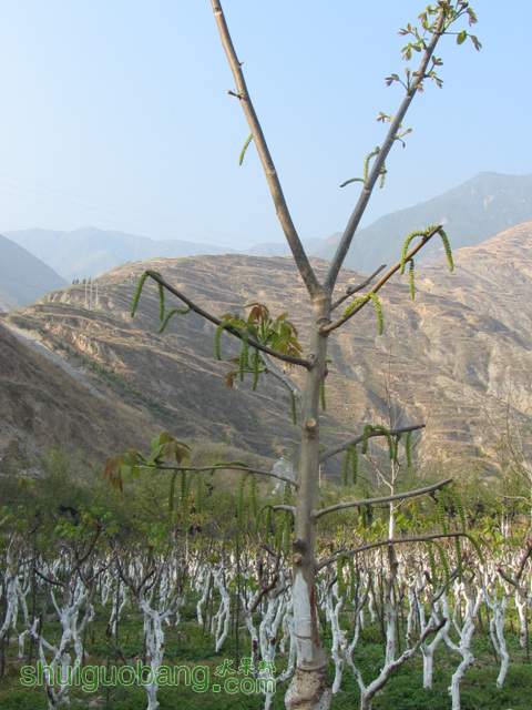 IMG_4476.jpg