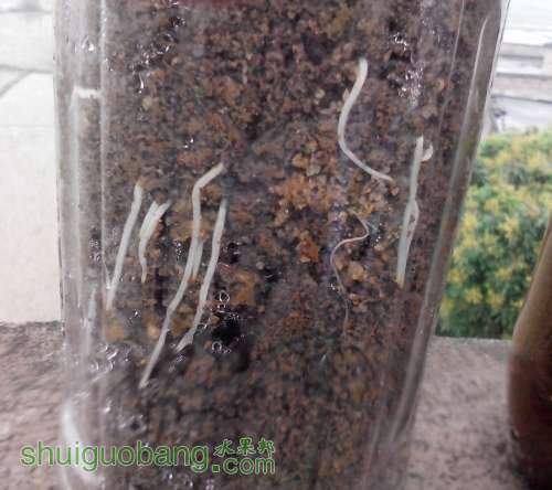 QQͼƬ20140408102536.jpg