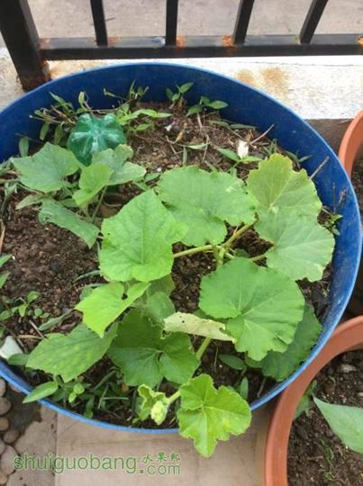 2014-04-11 065032.jpg