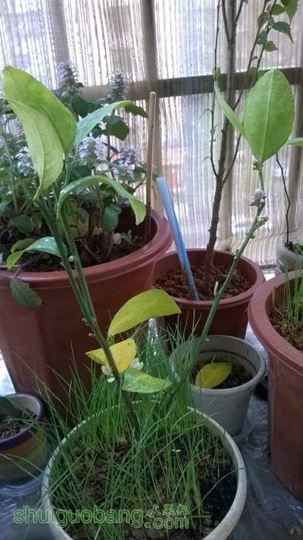 WP_20140411_002.jpg