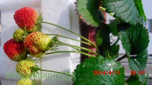 nEO_IMG_CIMG1380.jpg