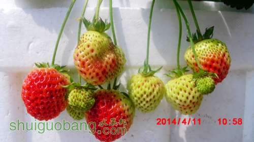 nEO_IMG_CIMG1381.jpg