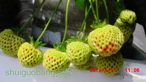 nEO_IMG_CIMG1412.jpg