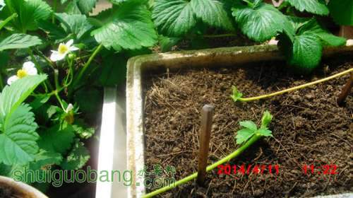 nEO_IMG_CIMG1455.jpg