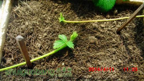 nEO_IMG_CIMG1459.jpg