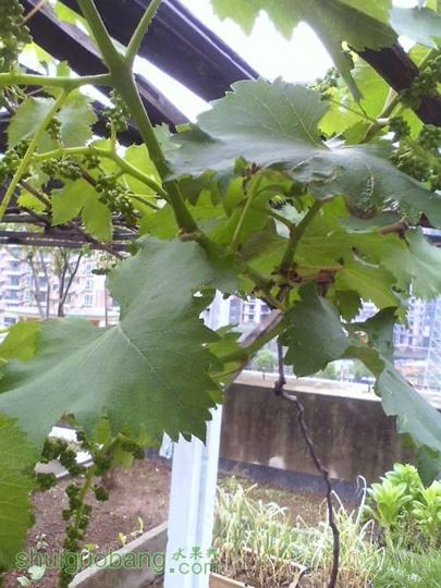 IMG0412085700.jpg
