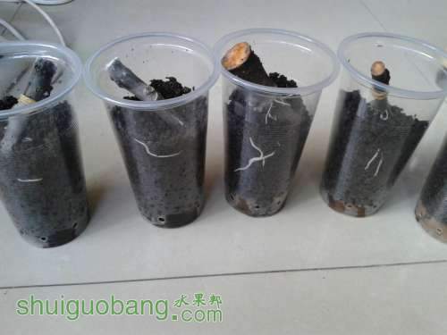 20140412_175050.jpg