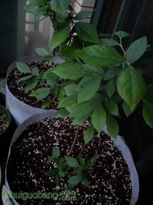 20140412_175115.jpg