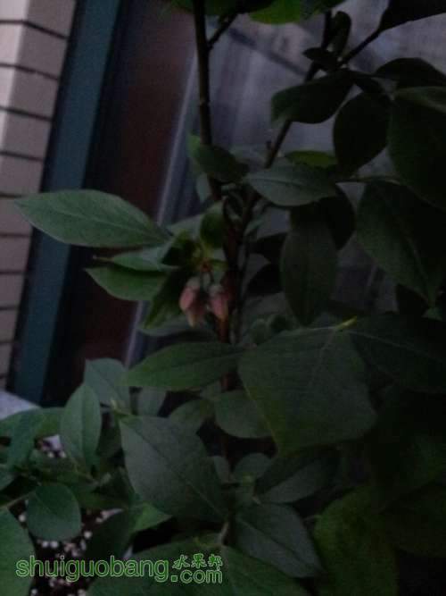 20140412_175126.jpg