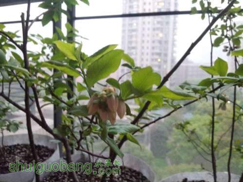 20140412_175218.jpg