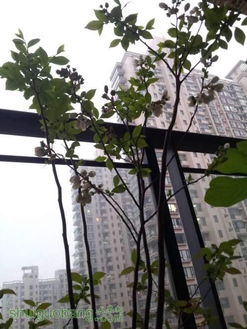 20140412_175251.jpg