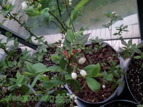 20140412_175836.jpg
