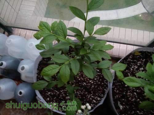 20140412_175915.jpg