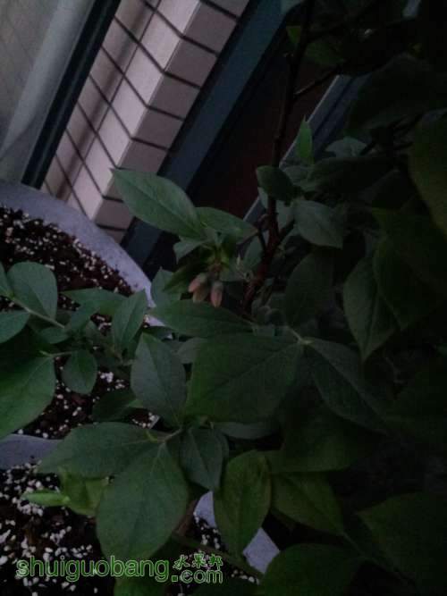 20140412_180344.jpg