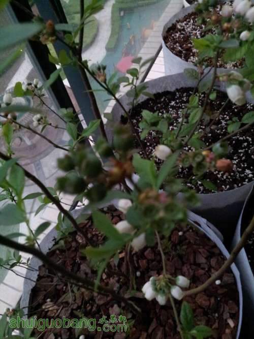 20140412_180404.jpg
