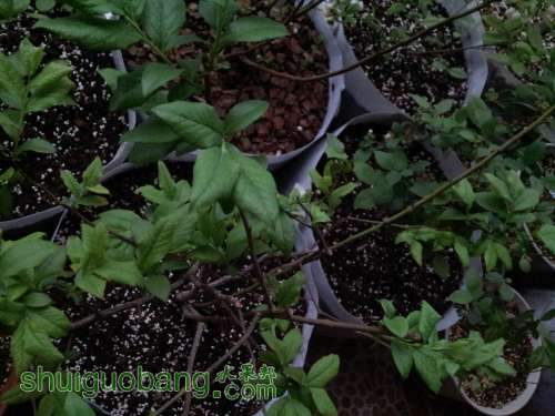 20140412_180546.jpg
