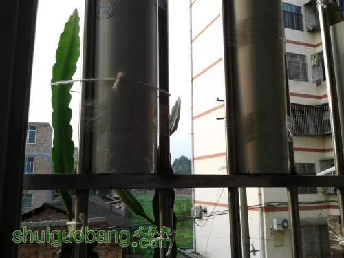20140413_181407.jpg