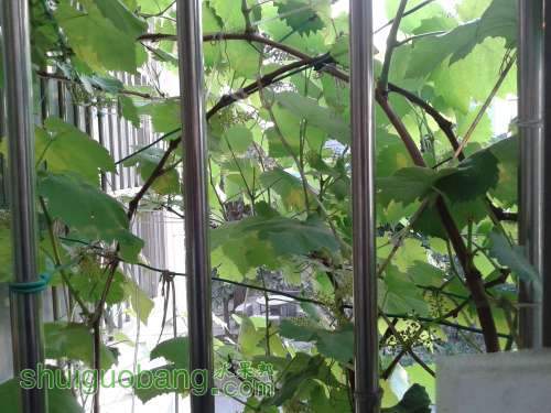 20140413_181518.jpg