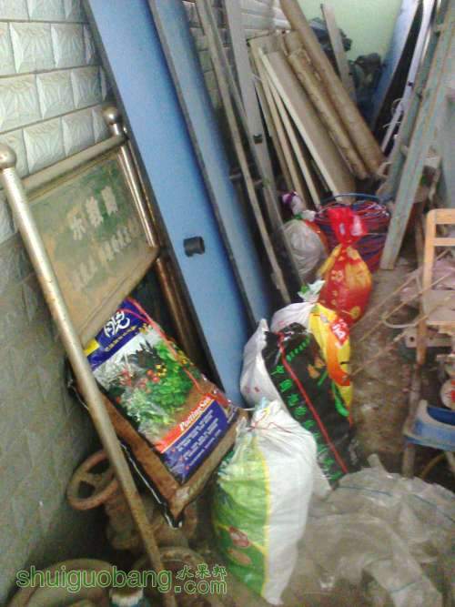 Ƭ0718.jpg